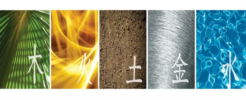 Five Elements of Chinese Astrology: Metal, Wood, Water, Fire and Earth cover image